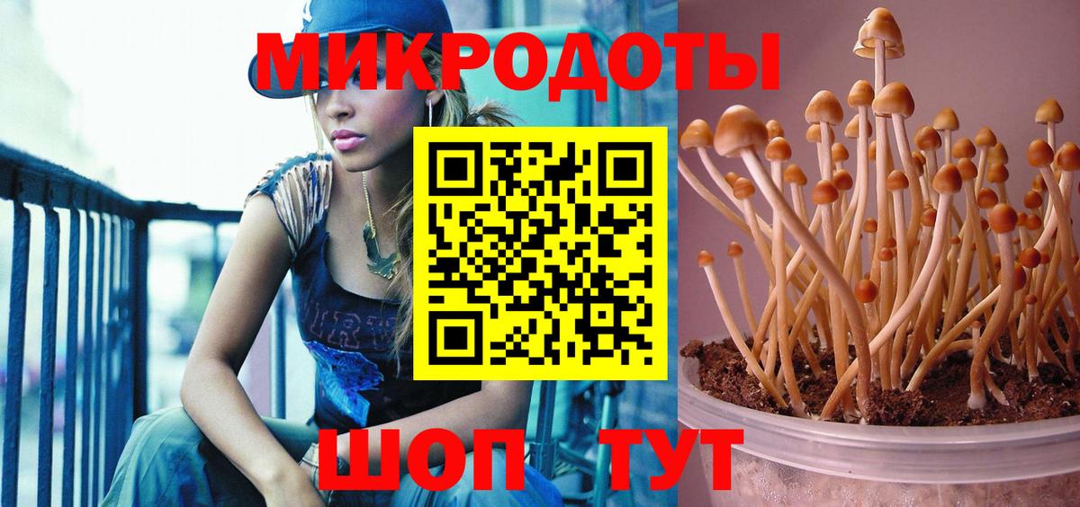 Галлюциногенные грибы Psilocybe  Вход с VPN  Ковров 